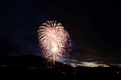 DSC_3337 (Large).JPG